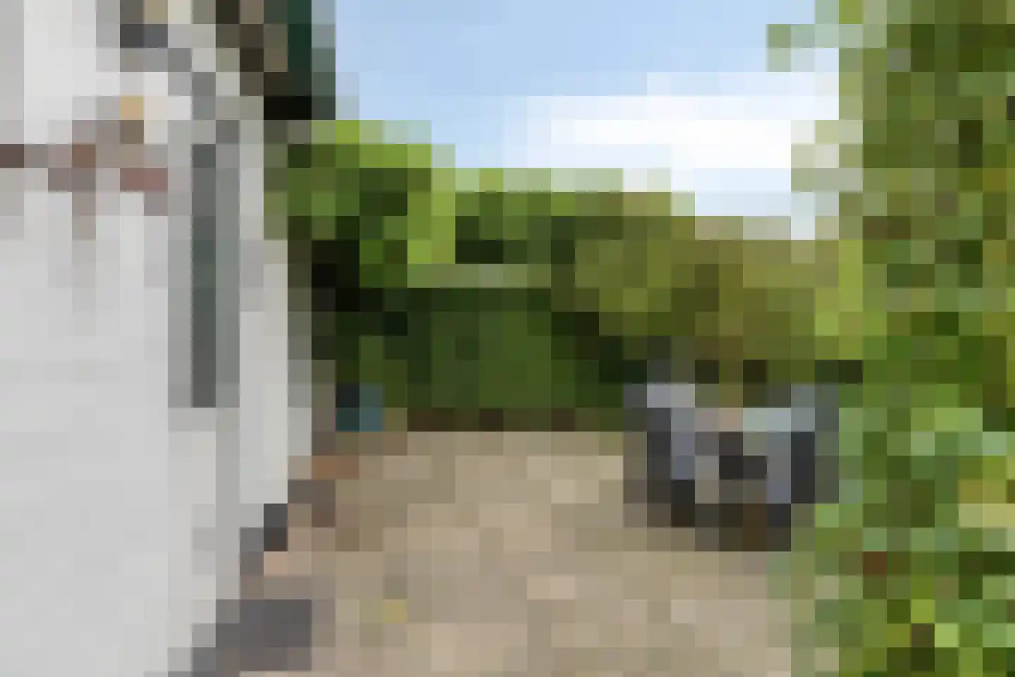 't Pad 13 Niebert thumbnail 34