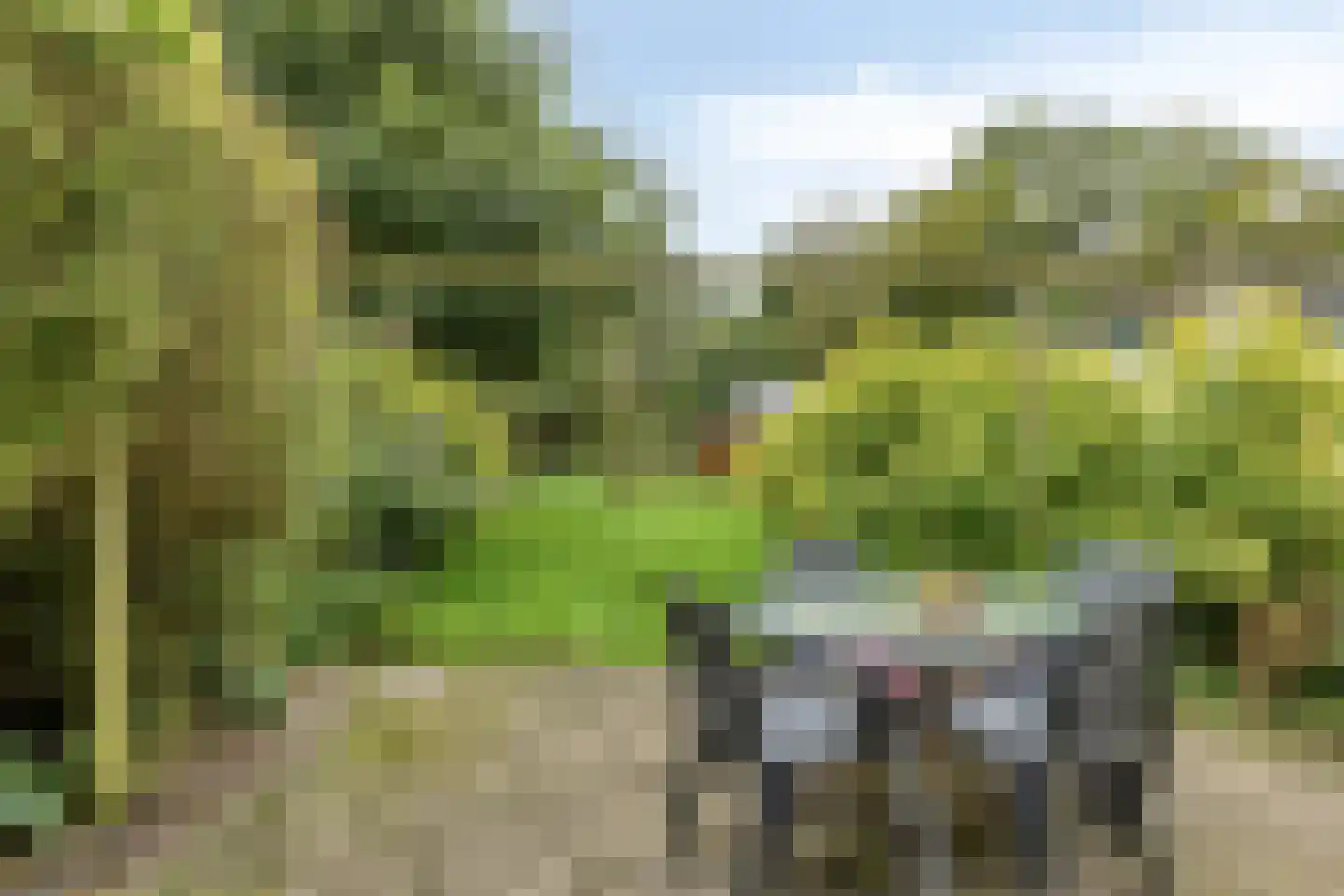 't Pad 13 Niebert thumbnail 35
