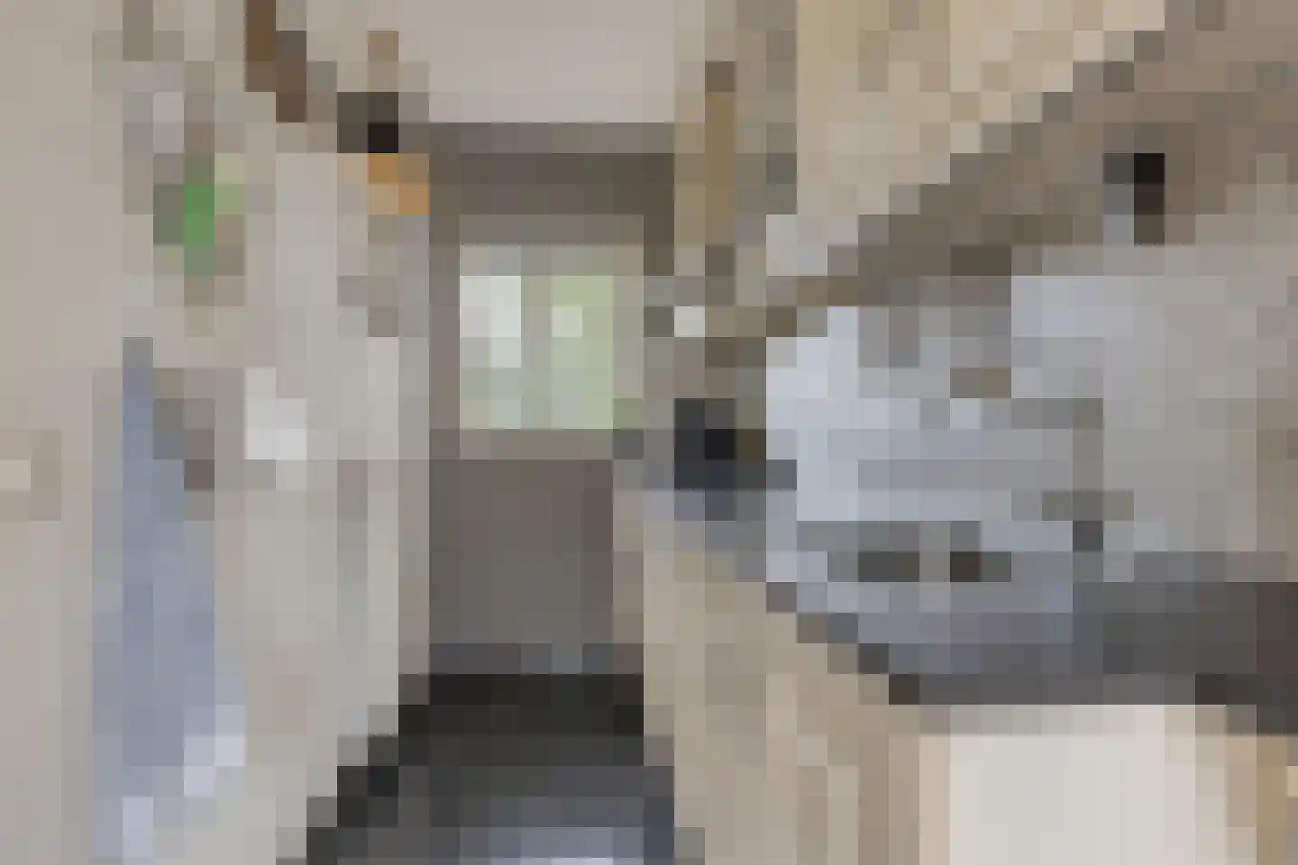 't Pad 13 Niebert thumbnail 41
