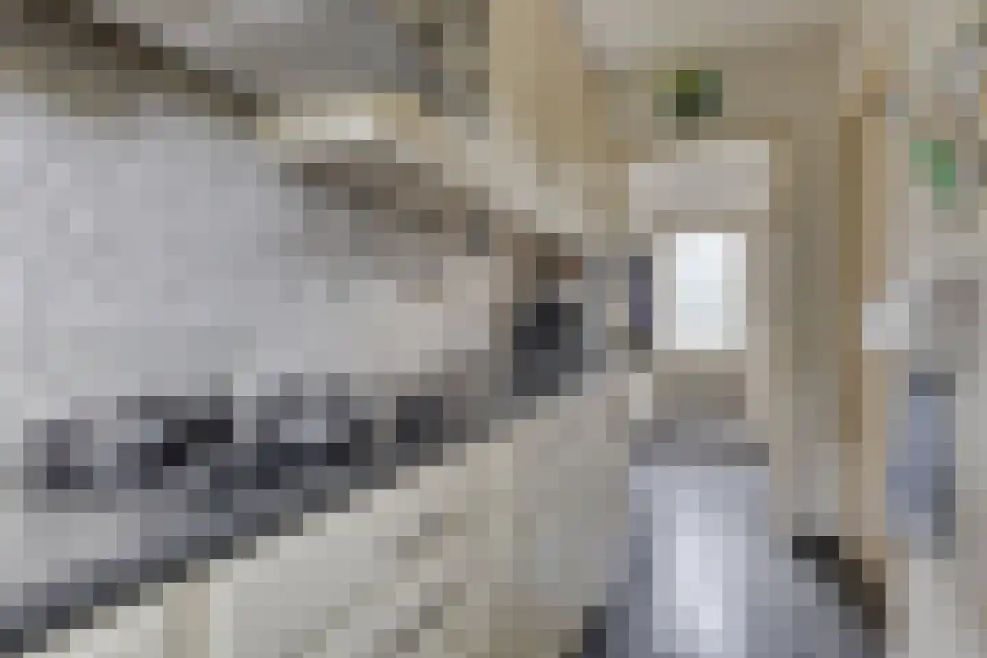 't Pad 13 Niebert thumbnail 42