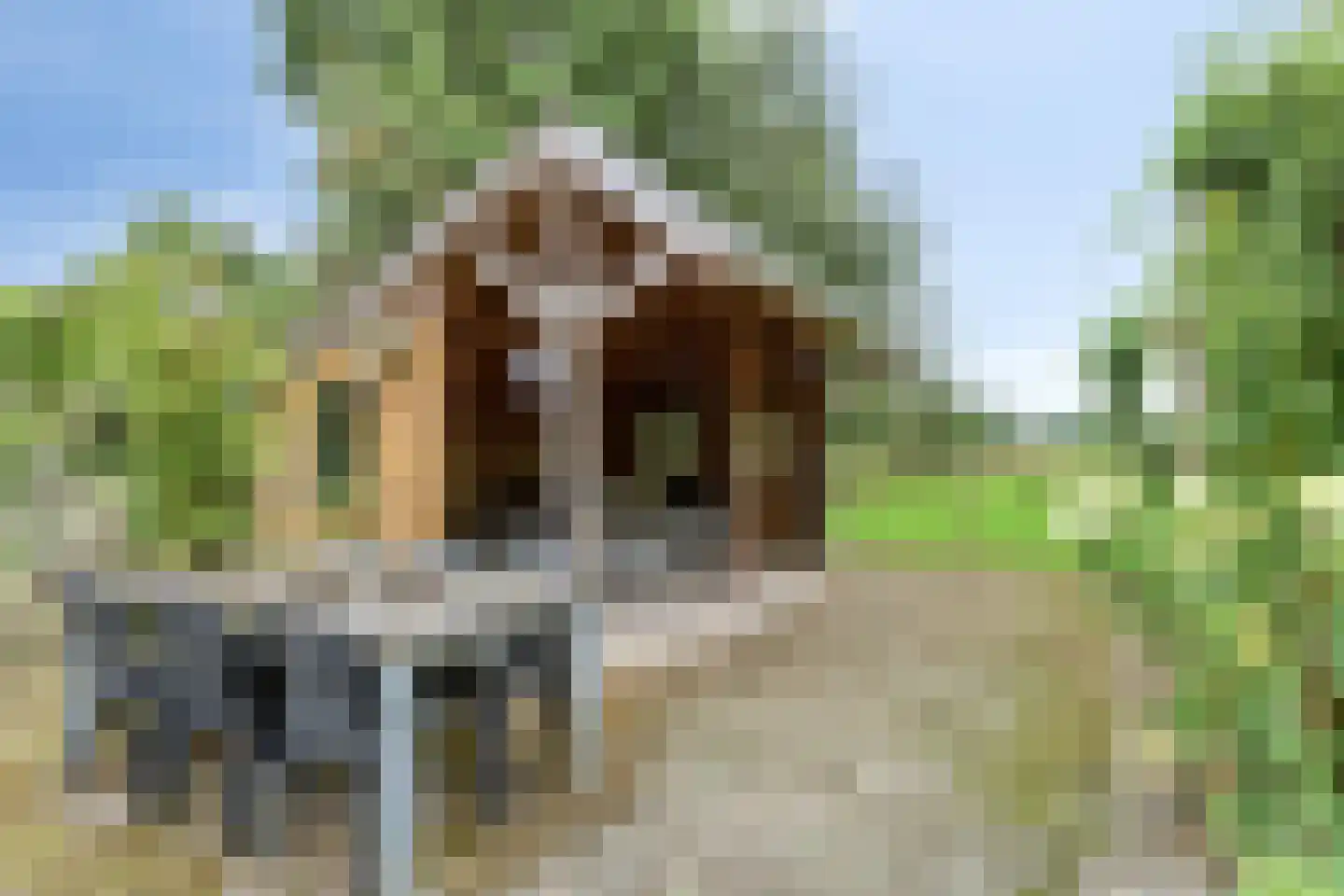 't Pad 13 Niebert thumbnail 52