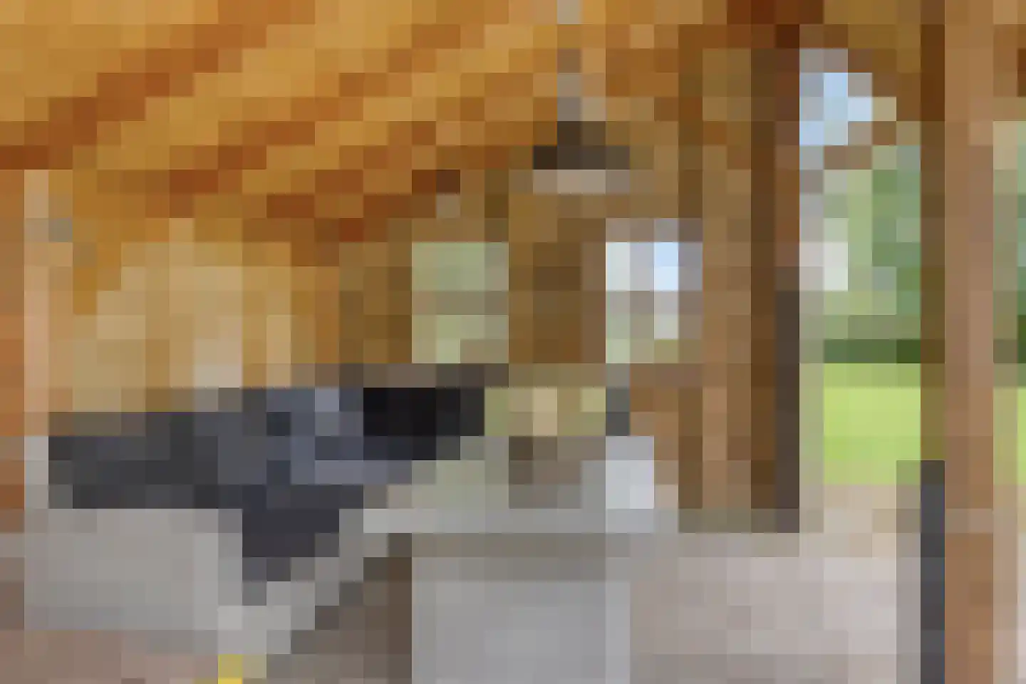 't Pad 13 Niebert thumbnail 53