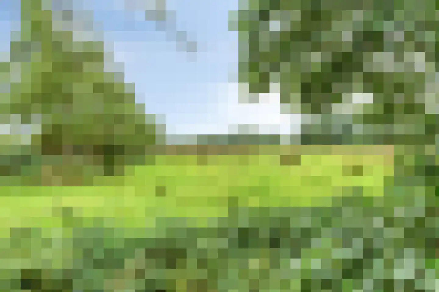 't Pad 13 Niebert thumbnail 57