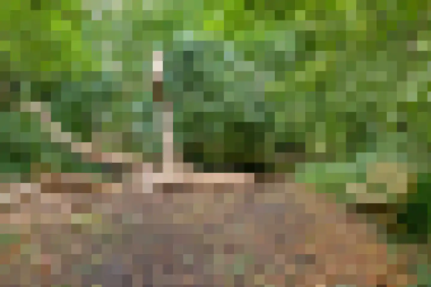 't Pad 13 Niebert thumbnail 60