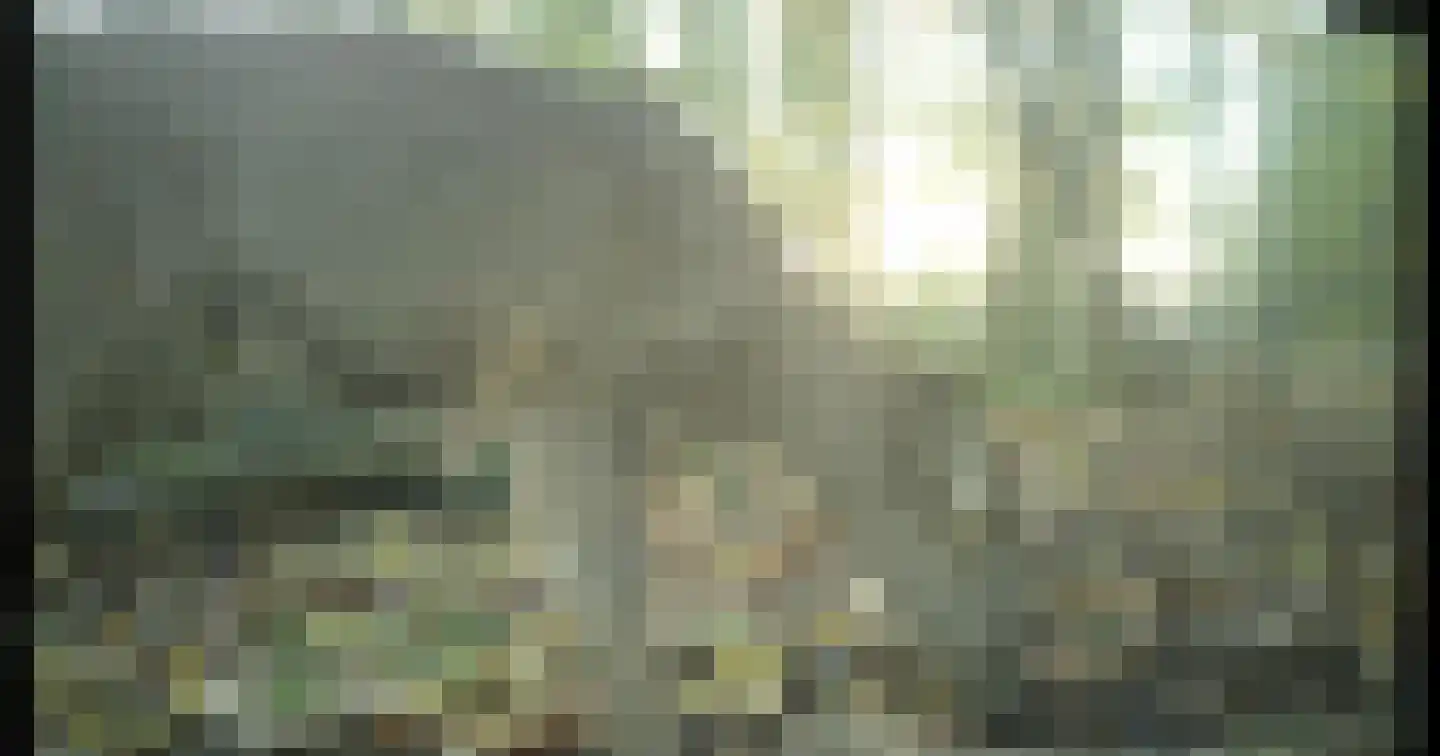 't Pad 13 Niebert thumbnail 67