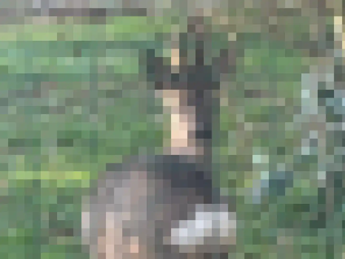 't Pad 13 Niebert thumbnail 70