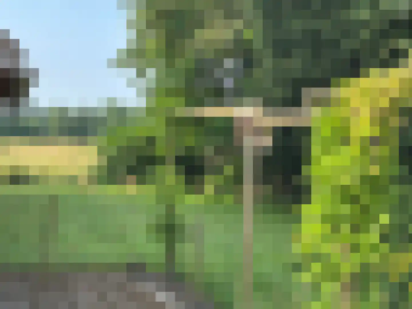 't Pad 13 Niebert thumbnail 71