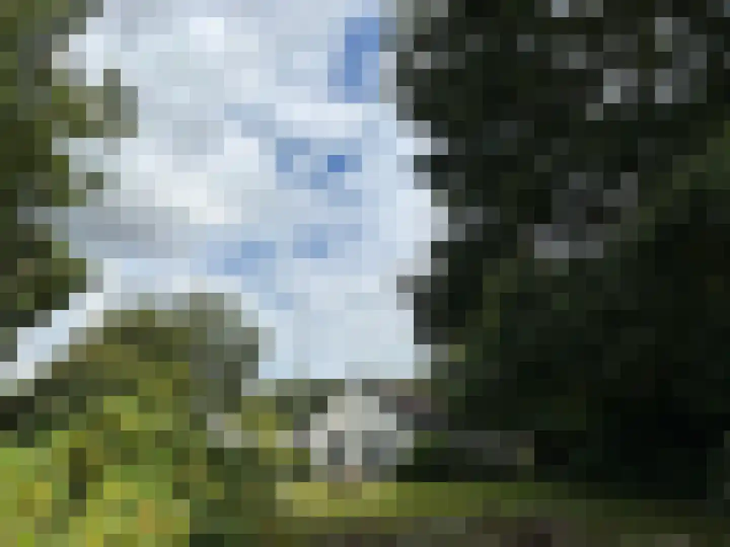 't Pad 13 Niebert thumbnail 81