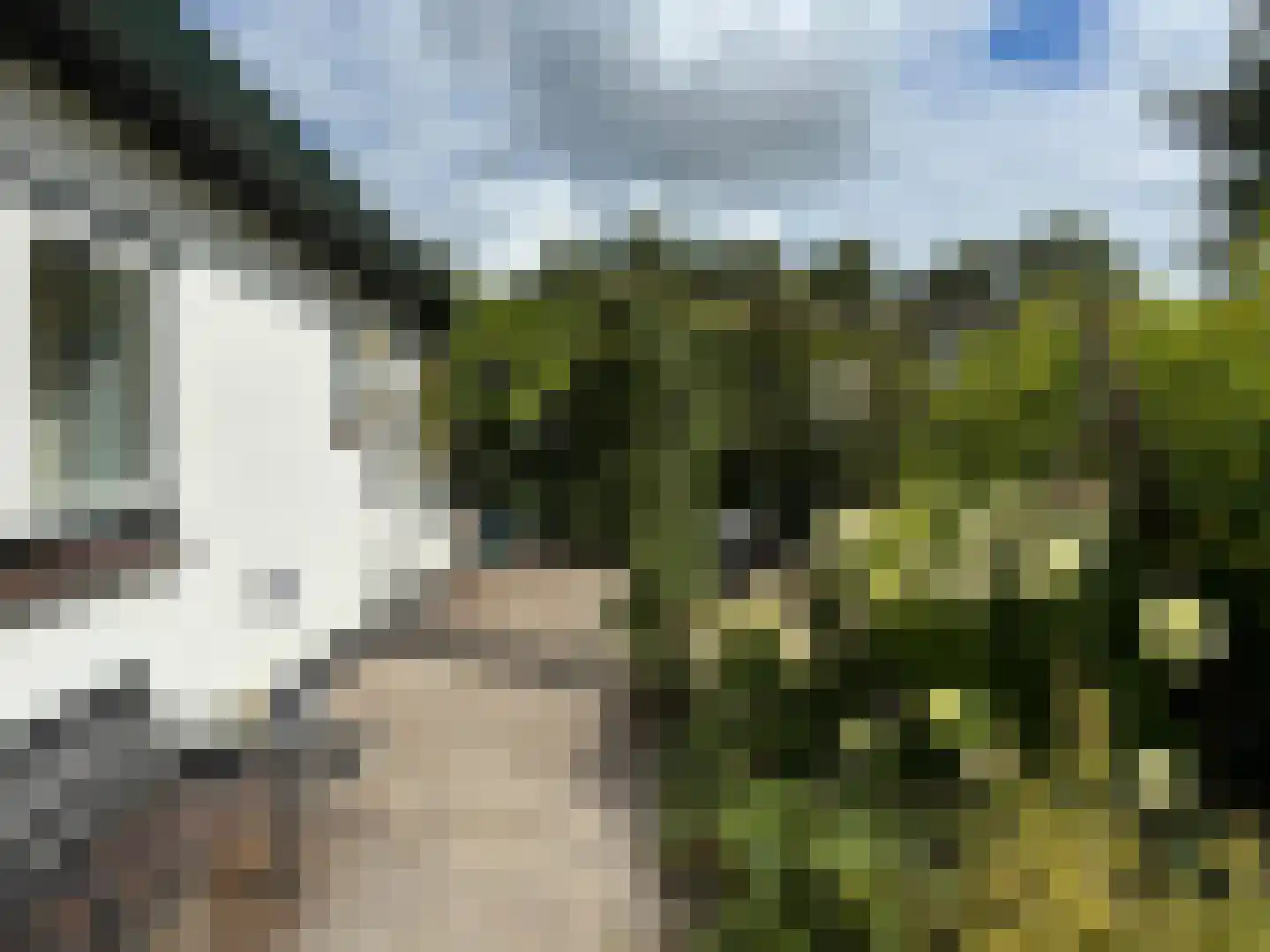 't Pad 13 Niebert thumbnail 89