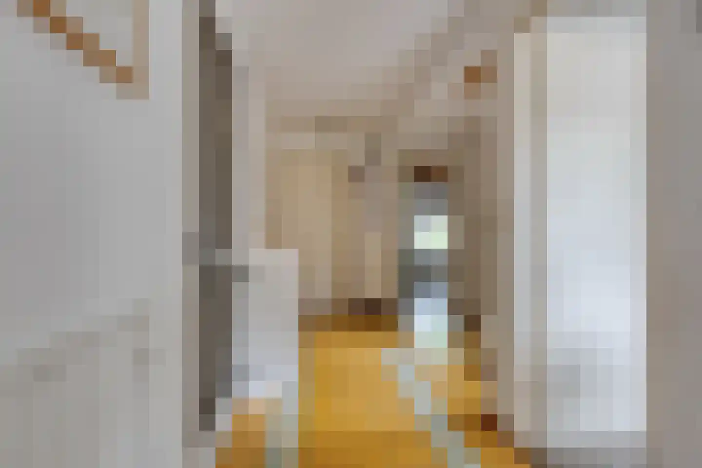 't Pad 13 Niebert thumbnail 9