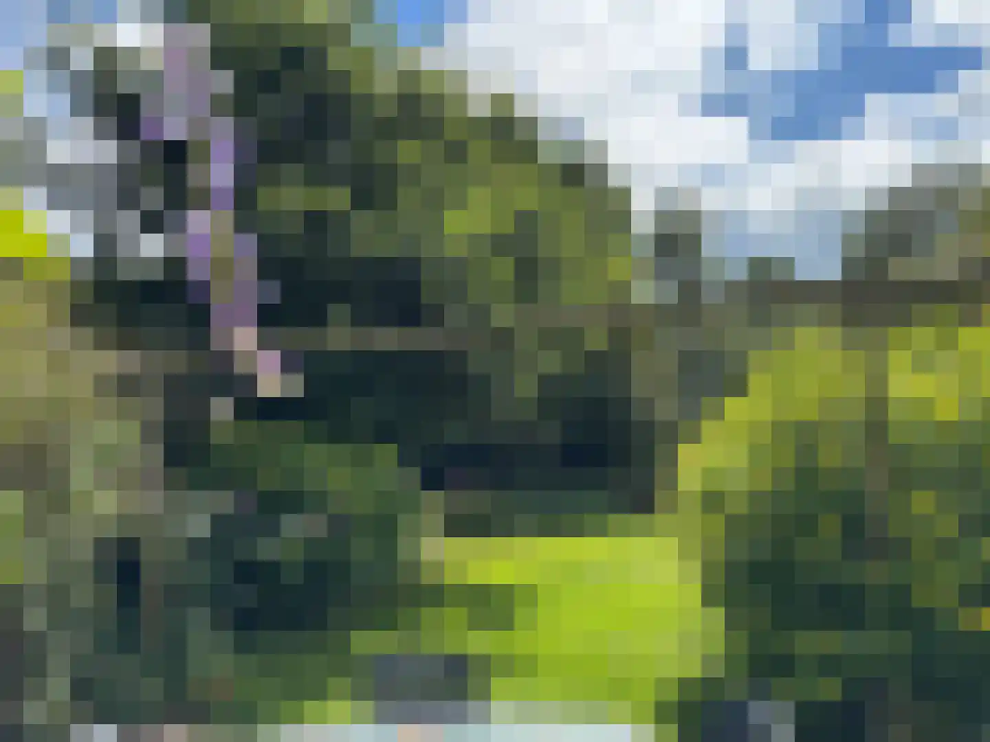 't Pad 13 Niebert thumbnail 90