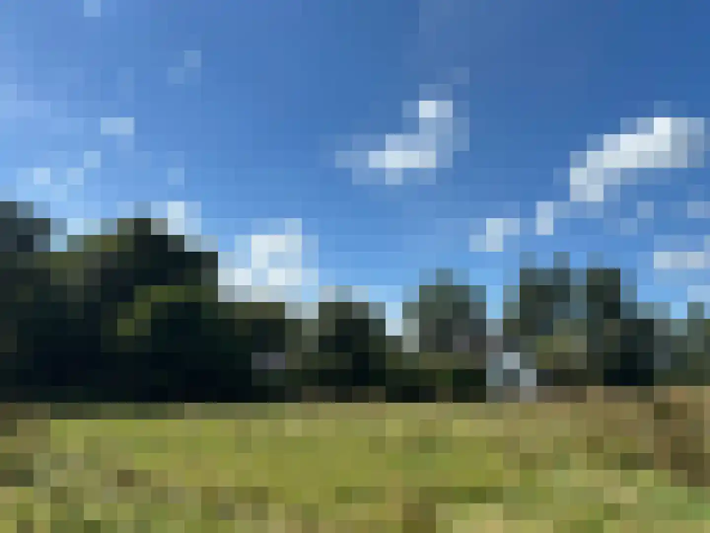 't Pad 13 Niebert thumbnail 97