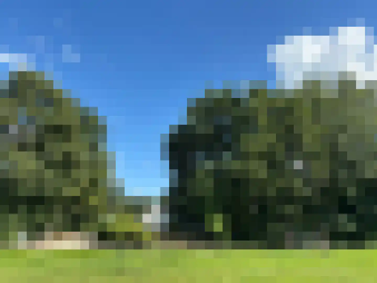 't Pad 13 Niebert thumbnail 98