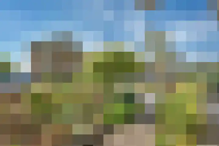 't Rak 45 Schoonebeek thumbnail 11