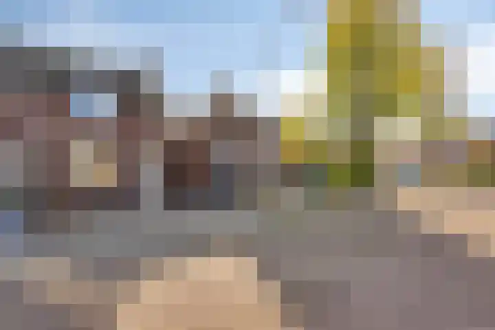 't Rak 45 Schoonebeek thumbnail 12
