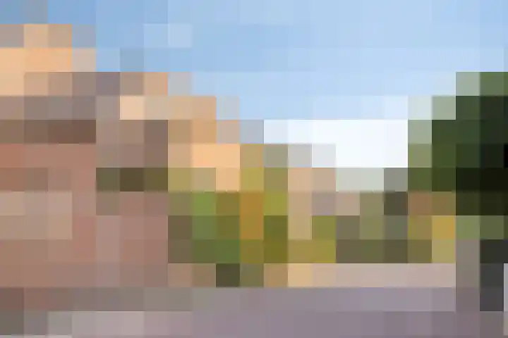 't Rak 45 Schoonebeek thumbnail 13