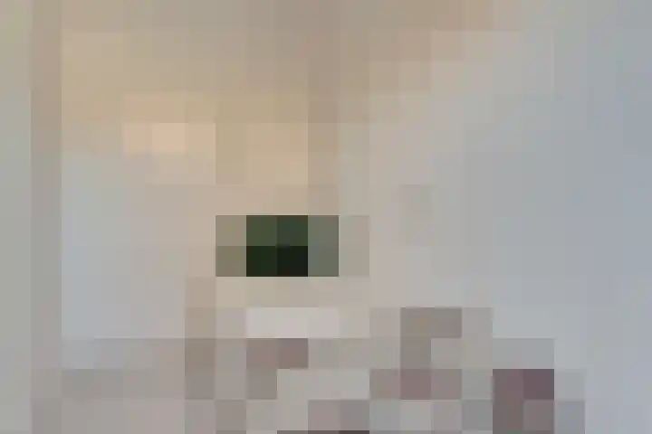 't Rak 45 Schoonebeek thumbnail 15