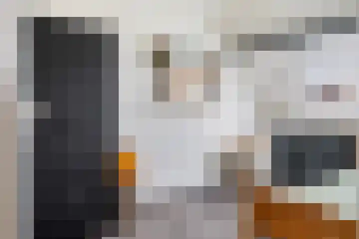 't Rak 45 Schoonebeek thumbnail 23