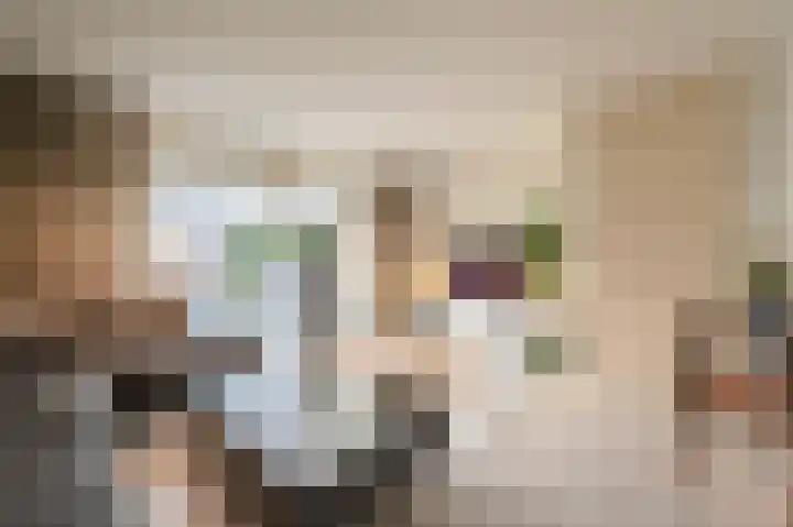 't Rak 45 Schoonebeek thumbnail 25