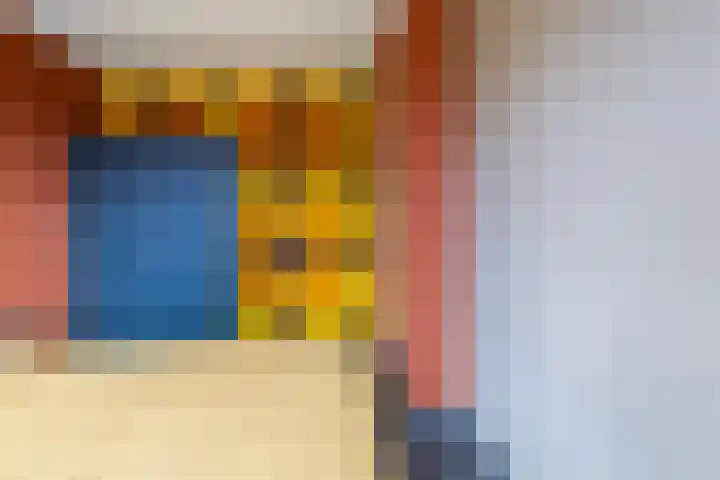 't Rak 45 Schoonebeek thumbnail 26