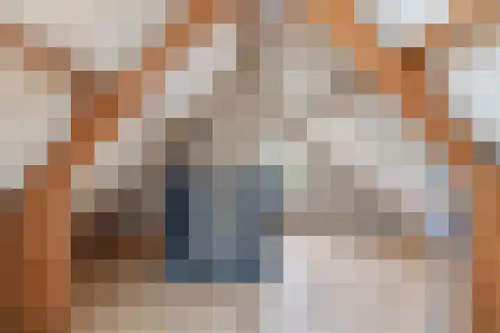 't Rak 45 Schoonebeek thumbnail 30
