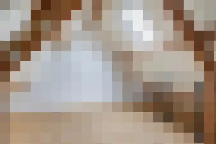 't Rak 45 Schoonebeek thumbnail 31