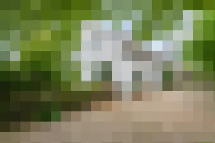 't Rak 45 Schoonebeek thumbnail 32