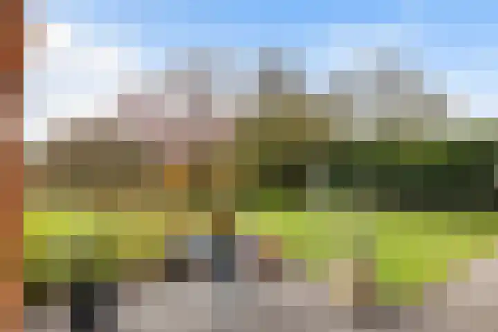 't Rak 45 Schoonebeek thumbnail 33