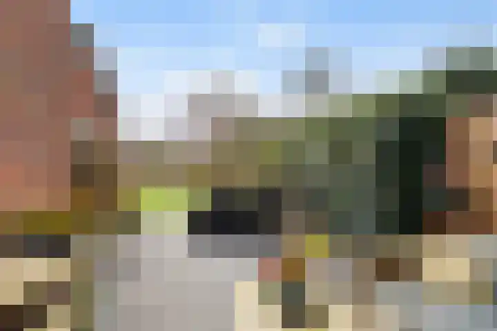 't Rak 45 Schoonebeek thumbnail 35