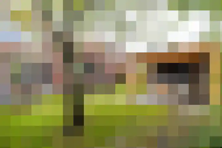't Rak 45 Schoonebeek thumbnail 38