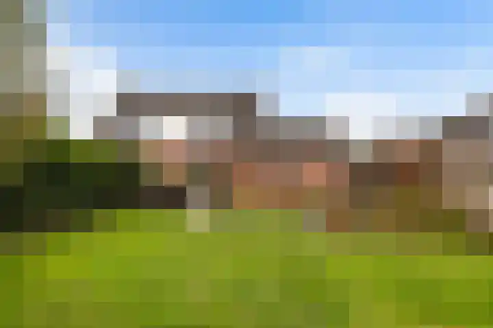 't Rak 45 Schoonebeek thumbnail 38