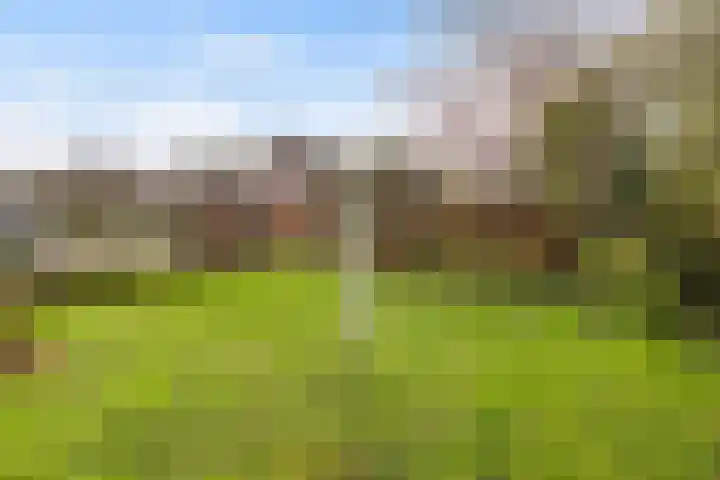 't Rak 45 Schoonebeek thumbnail 39