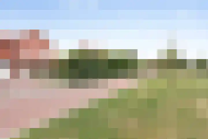 't Rak 45 Schoonebeek thumbnail 43