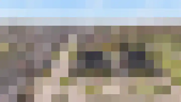 't Rak 45 Schoonebeek thumbnail 5