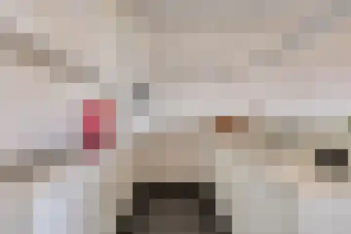 't Scheld 48 Wemeldinge thumbnail 19