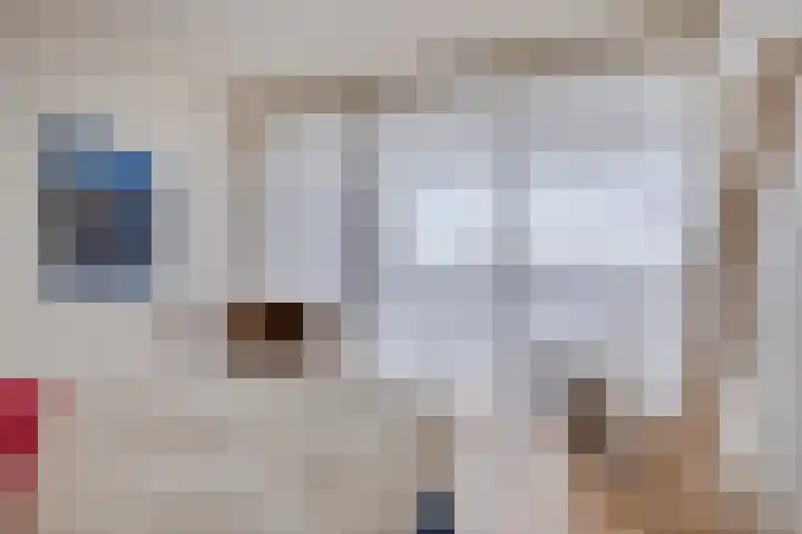 't Scheld 48 Wemeldinge thumbnail 27