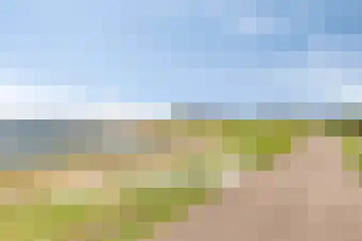 't Scheld 48 Wemeldinge thumbnail 46