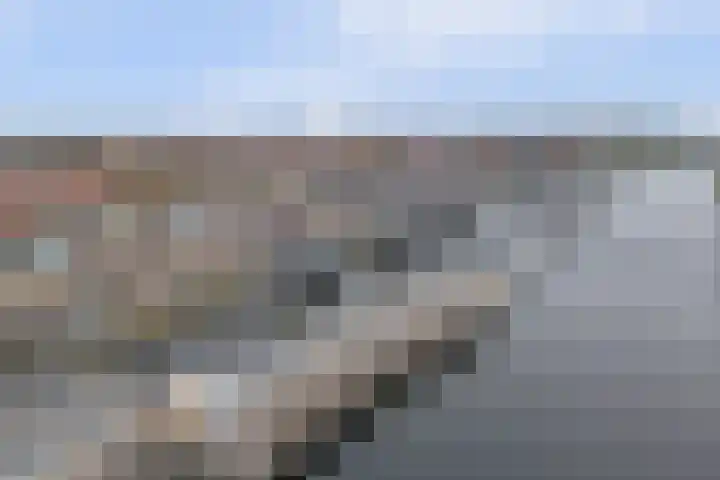 't Schip 13 Katwijk thumbnail 55