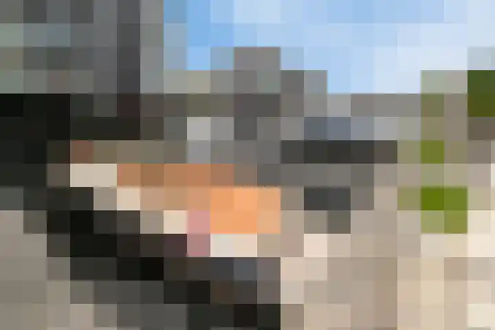 't Schip 21 Katwijk thumbnail 21