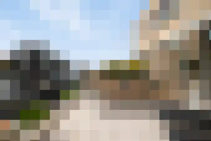 't Schip 21 Katwijk thumbnail 22