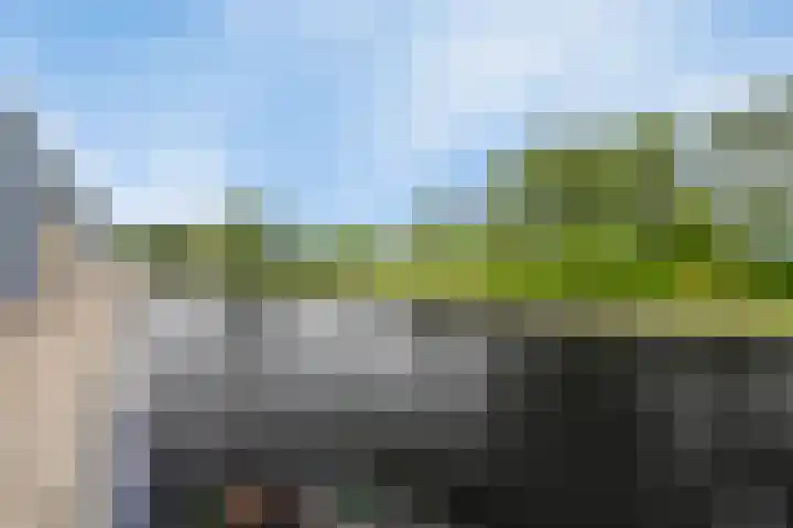 't Schip 21 Katwijk thumbnail 53