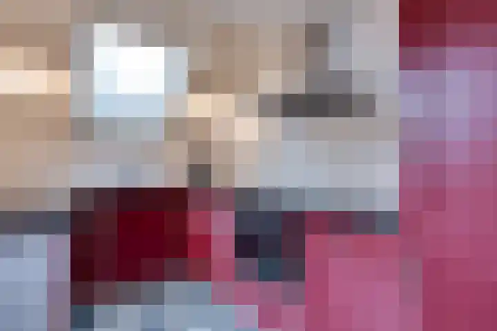 't Spiek 86 Beilen thumbnail 11