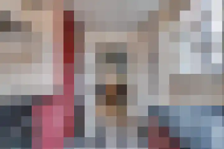 't Spiek 86 Beilen thumbnail 12