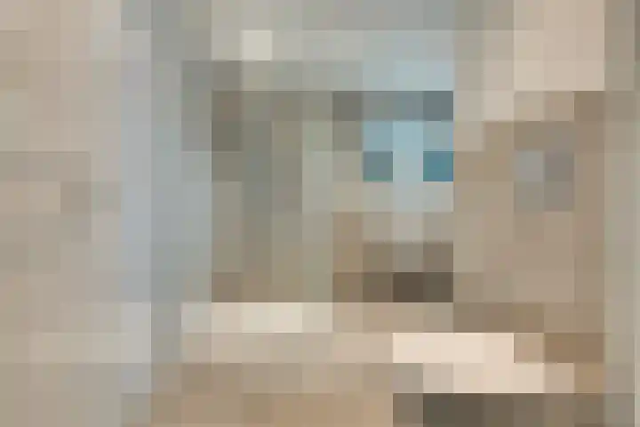 't Spiek 86 Beilen thumbnail 19