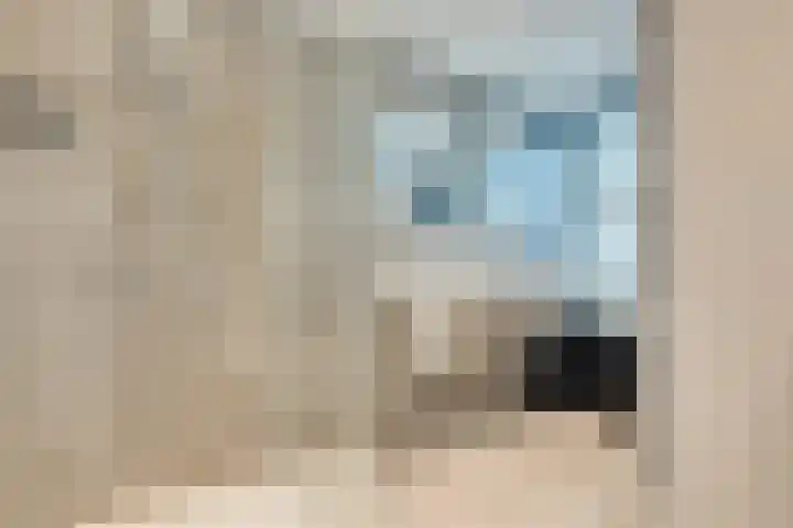 't Spiek 86 Beilen thumbnail 20