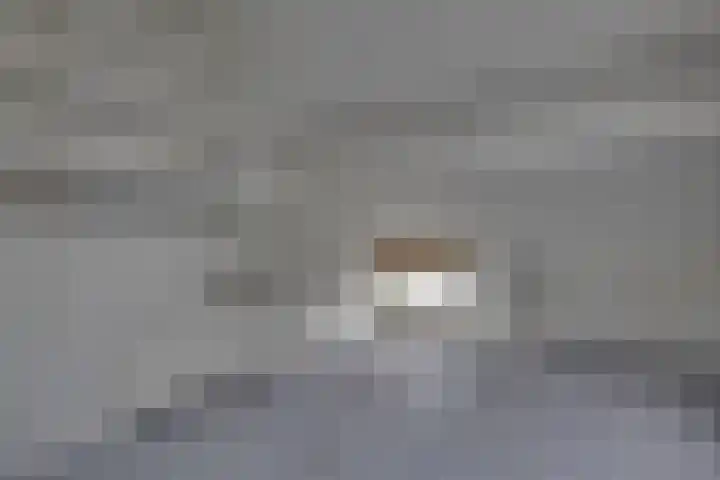 't Spiek 86 Beilen thumbnail 24