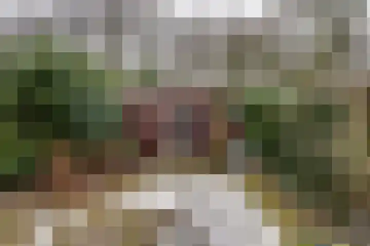 't Spiek 86 Beilen thumbnail 26