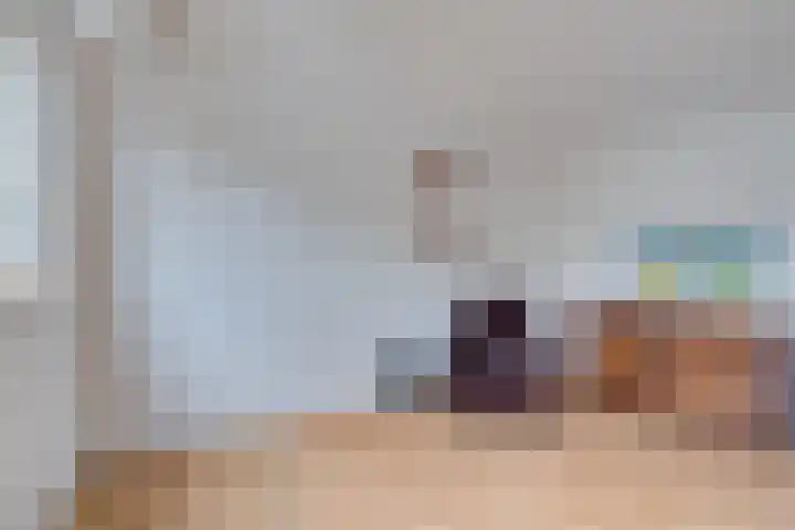 't Spiek 86 Beilen thumbnail 27
