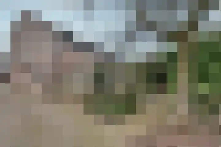 't Spiek 86 Beilen thumbnail 31