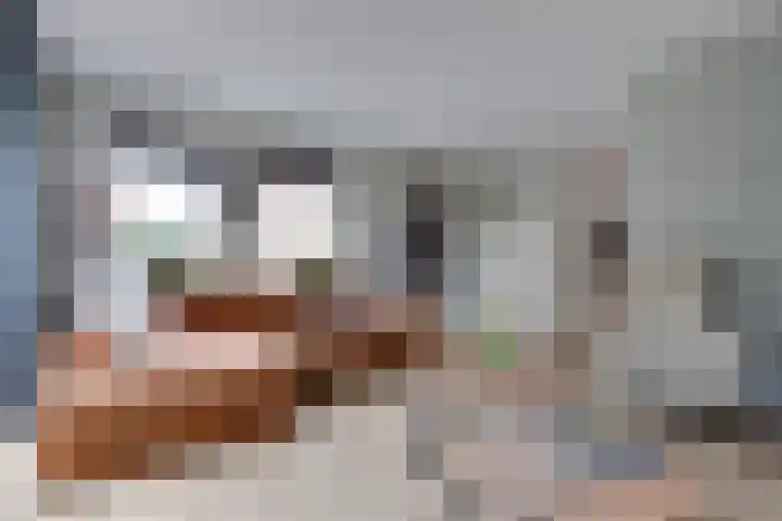 't Spiek 86 Beilen thumbnail 6
